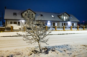 gaja zimą
